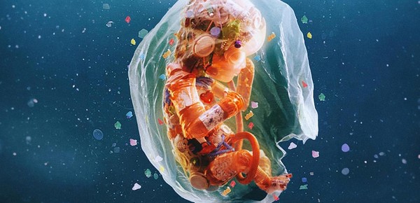 Microplásticos: un problema cada vez más grande para la salud humana