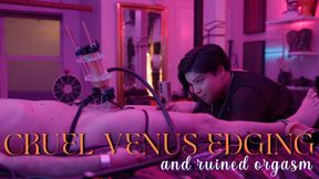 24 hours with Mistress Rogue Episode 8: Cruel Venus 2000 denial and ruined orgasm