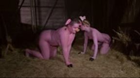lovely pigs in the barn - wmv 720p
