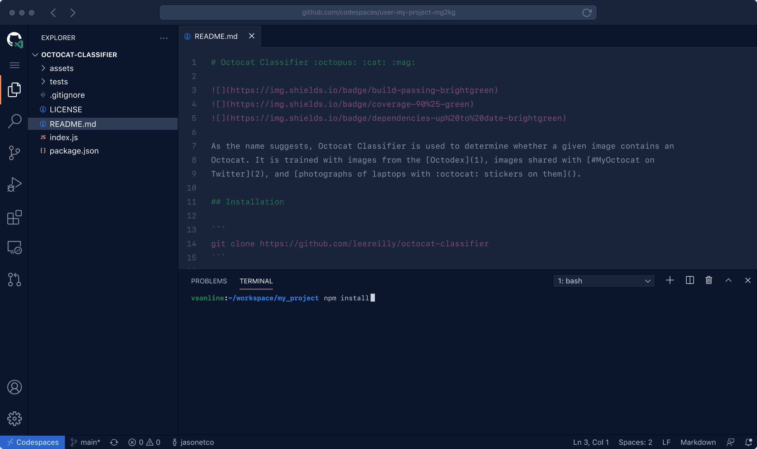 VS Code running in the browser with your project's code and development environment running. A terminal panel is visiable in the editor.