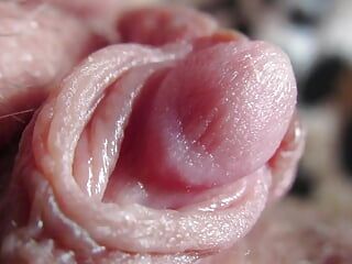 Extreme Closeup Pulsating Huge Clitoris FULL VIDEO