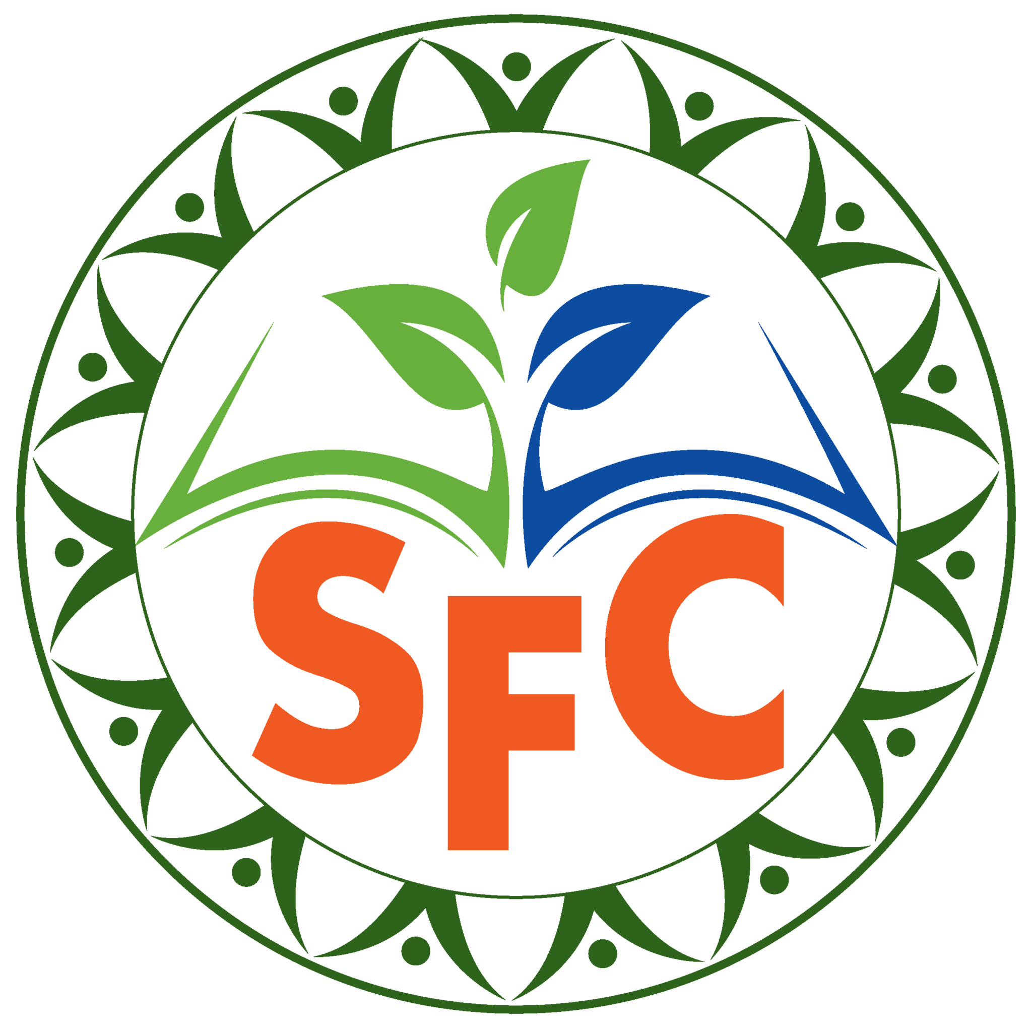 SFC-foundations