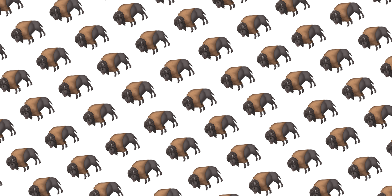 swift-bison