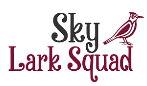 Sky Lark Squad